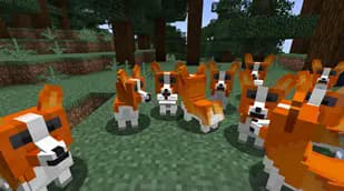 Player Companions screenshot