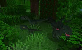 Player Companions screenshot