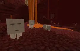 Player Companions screenshot