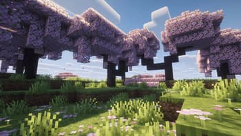 QuantuMiz: Competitive Edition screenshot