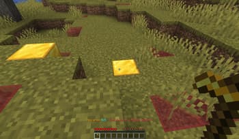 Safe Zone Claims screenshot