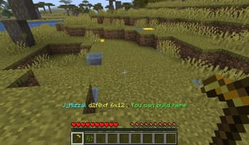 Safe Zone Claims screenshot