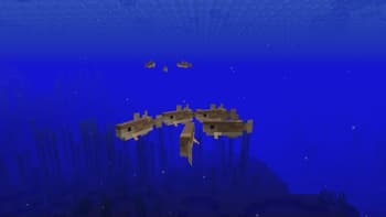 Go Fish screenshot