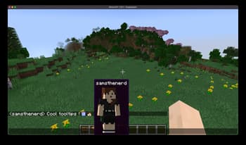Inline screenshot
