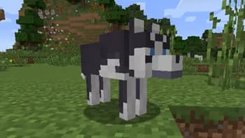 Not Enough Pets screenshot