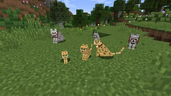 Not Enough Pets screenshot