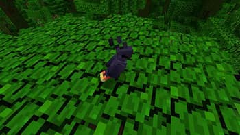 Not Enough Pets screenshot