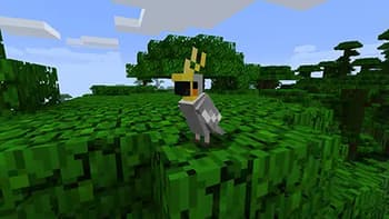 Not Enough Pets screenshot