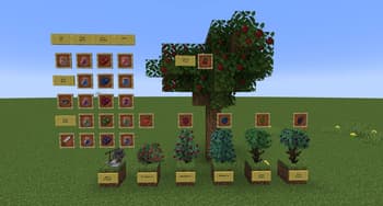 Berries and Cherries Delight screenshot