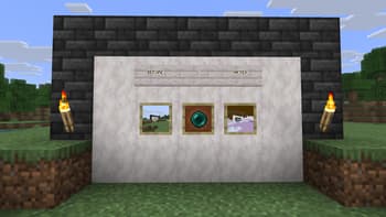 Freeze Frame: The Camera Mod screenshot