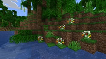 Rustic Delight screenshot