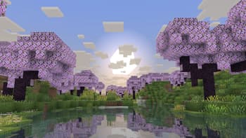 Remarkably Beautiful screenshot