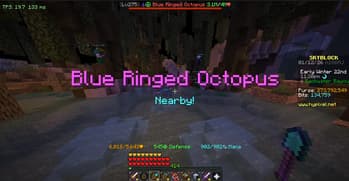 CaribouStonks • Hypixel SkyBlock screenshot