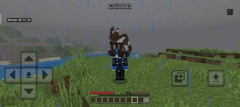 RealCarry Plugin screenshot