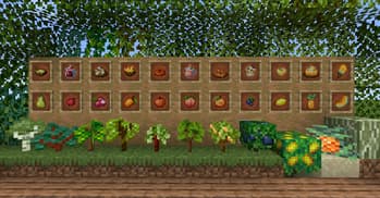 Fruits Delight screenshot