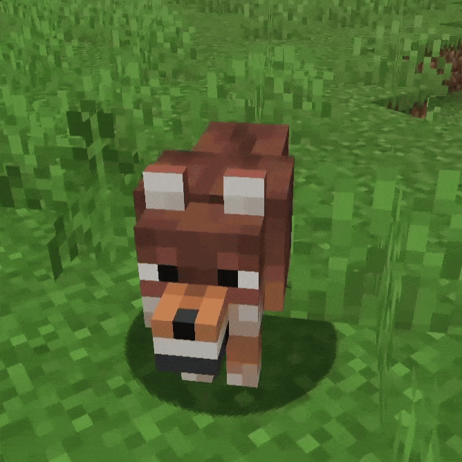 Pet Frogs and More! screenshot