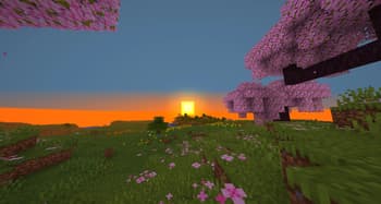 Summer Vibes screenshot
