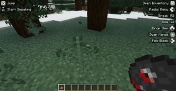 Controlify Dungeons screenshot