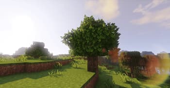 JS Leaves+ screenshot