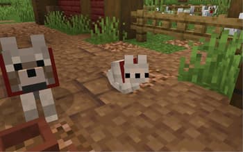 Baby Animals Remastered screenshot