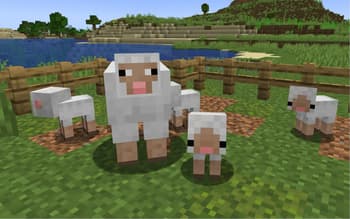 Baby Animals Remastered screenshot