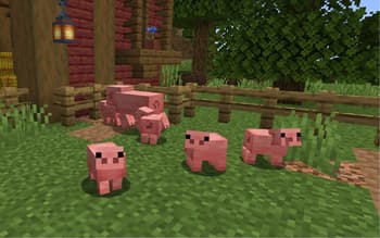 Baby Animals Remastered screenshot