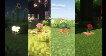 Fresh flowers screenshot