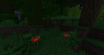 Nemo's Creatures screenshot