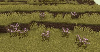 Wild Fields screenshot