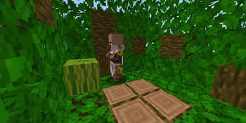 More Villagers screenshot
