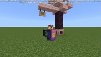 Shield Corrections screenshot
