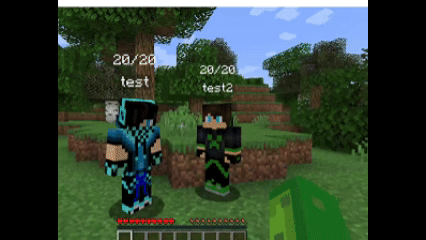 HideName (Nick), Nickname & Player Health - Minecraft Mod screenshot