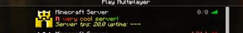 Custom Server MOTD screenshot