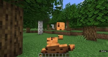 Vanilla Animated Food screenshot