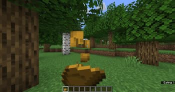 Vanilla Animated Food screenshot