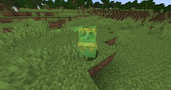 Muffin's Slime Golem screenshot