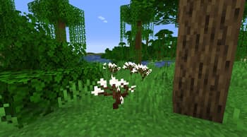 Armor Restitched screenshot