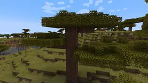 Lost Features screenshot