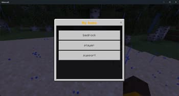 BedrockPlayerSupport screenshot