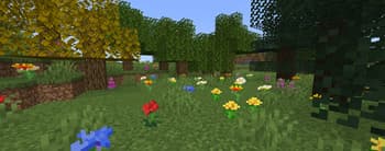 Materiality screenshot