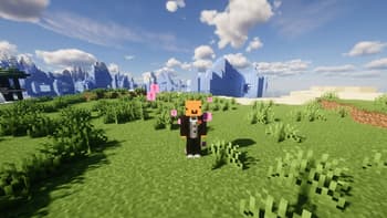 Visible Potions Effects screenshot