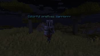 NametagEditX screenshot