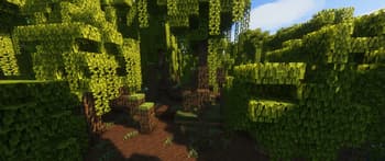 Turtlepack screenshot