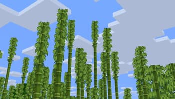 Dungeons Bamboo screenshot