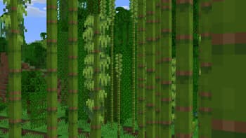 Dungeons Bamboo screenshot