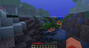 VisualMC screenshot