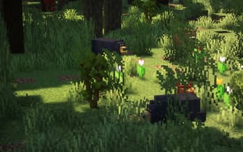 Biodiverse screenshot