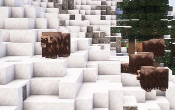 Biodiverse screenshot