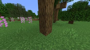 Secret Doors screenshot