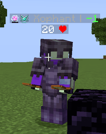 Tier Nametags [Tier Tagger] screenshot